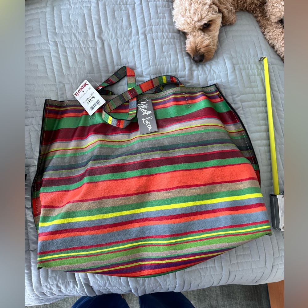 Elliott Lucca Multicolor Striped Tote Bag